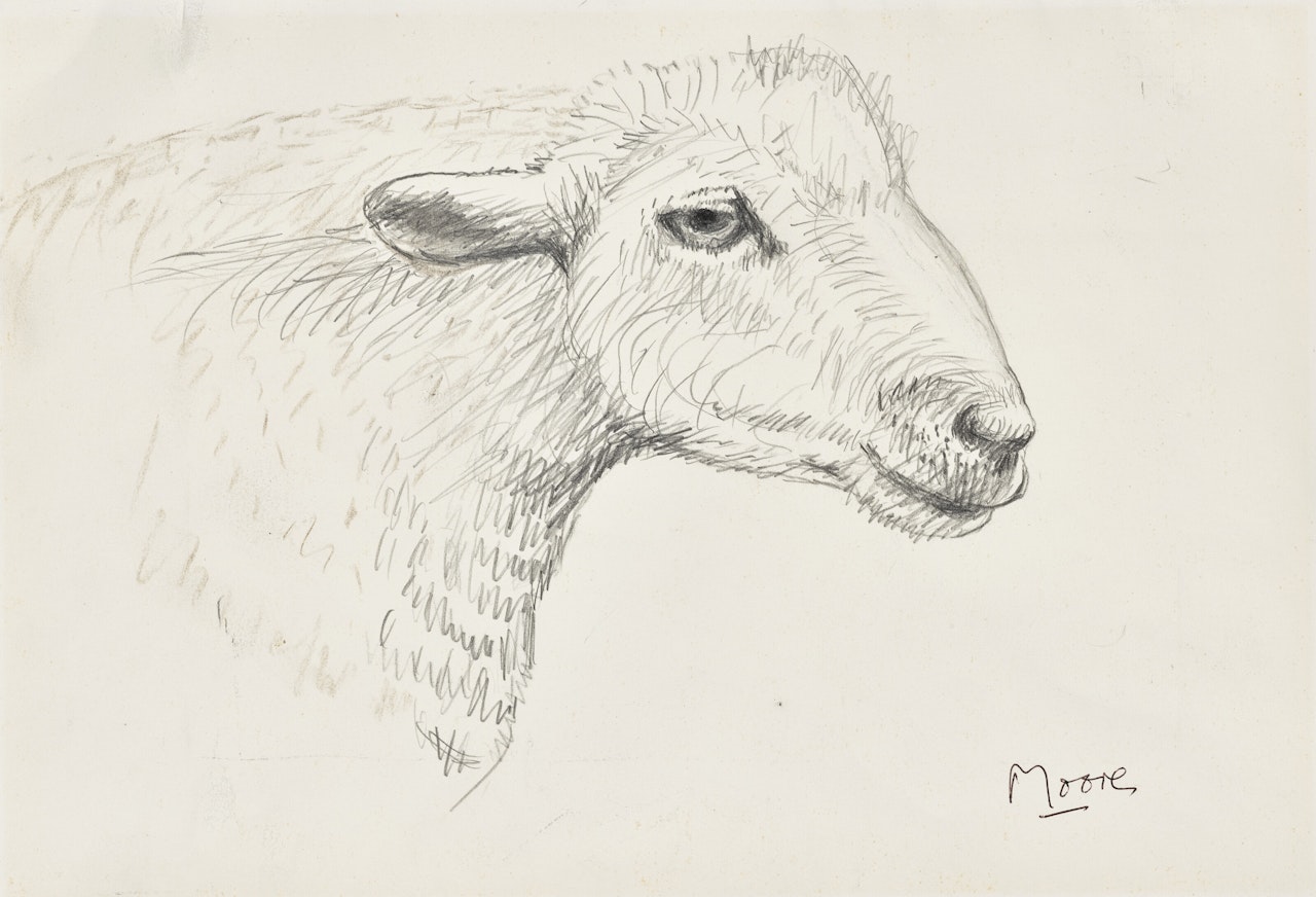 Head of Sheep by Henry Moore