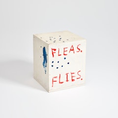 Fleas, Flies