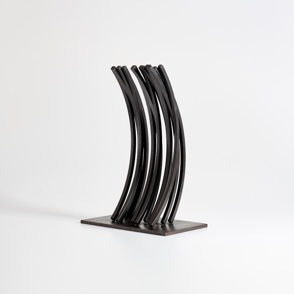 91.5° Arc x 14 by Bernar Venet