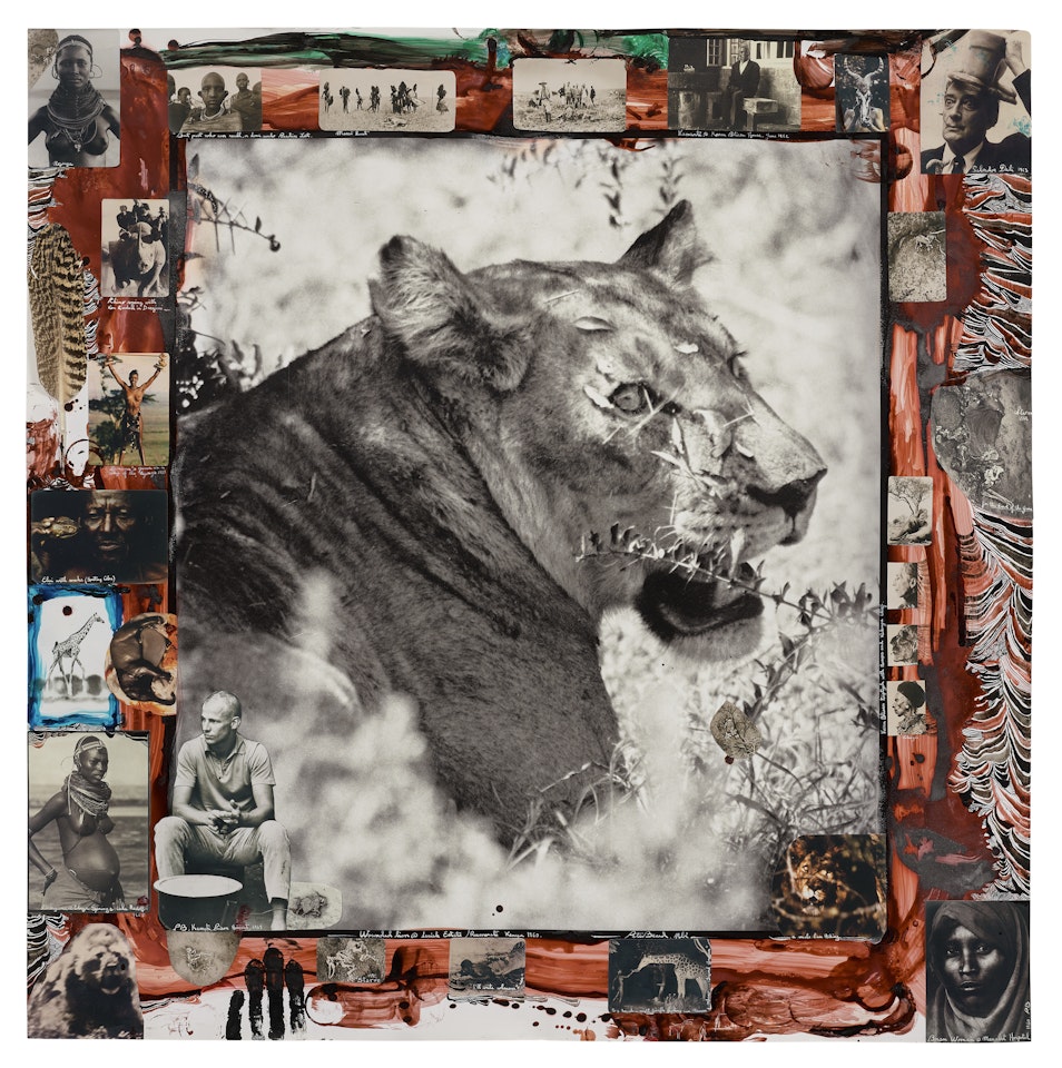 Wounded Lion @ Lariak Estate / Rumuruti Kenya by Peter Beard