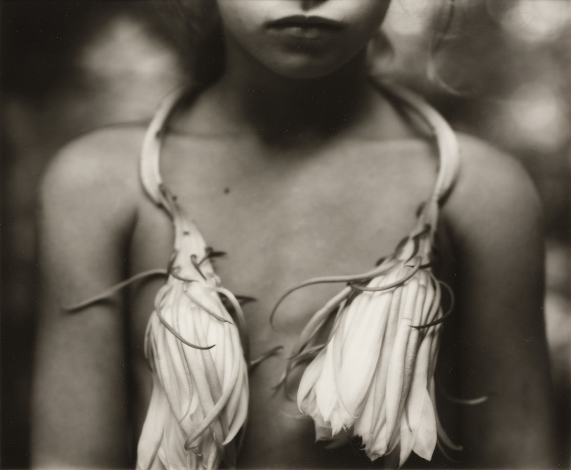 Night Blooming Cereus by Sally Mann