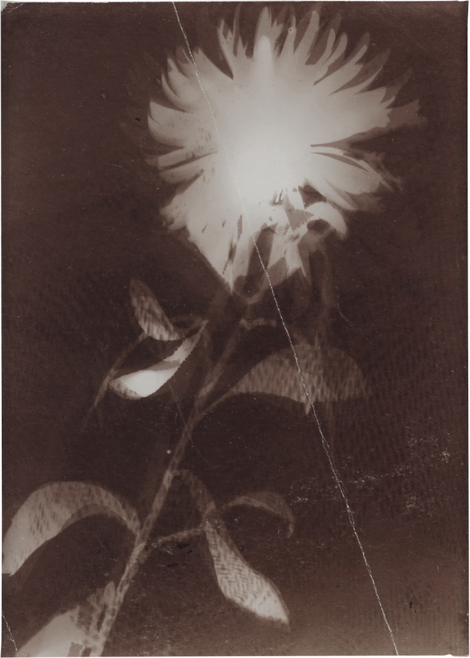 Untitled (fgm 30) by László Moholy-Nagy