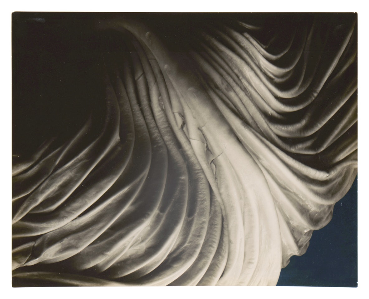 "Cabbage Leaf" by Edward Weston