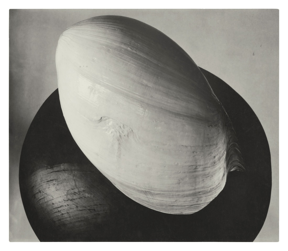 "Shell and Olla" by Edward Weston