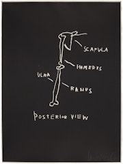 Posterior View, from Anatomy