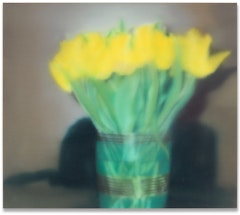 Tulips (P17)