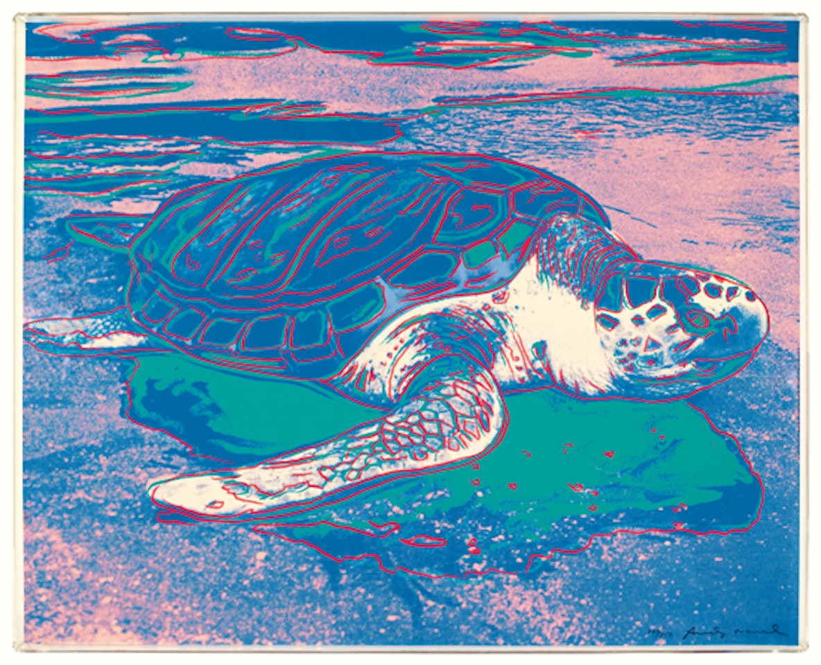 Turtle by Andy Warhol