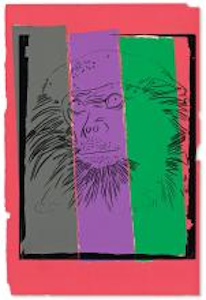 Douc Langur. by Andy Warhol