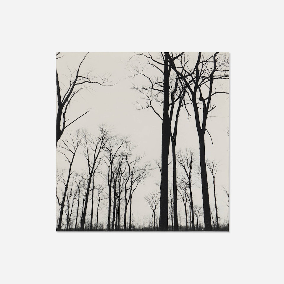 Chicago by Harry Callahan