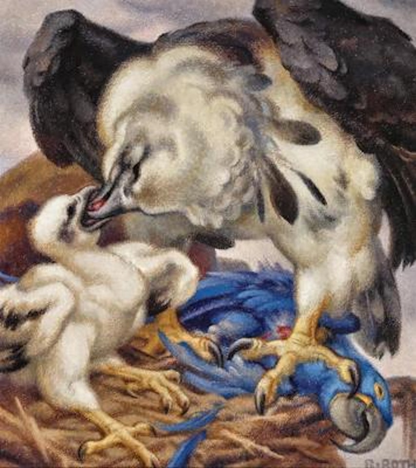 “Das Kind” (Fütterung des Adlerjungen) (“The Child” - Feeding of the young eagle) by Norbertine Bresslern-Roth