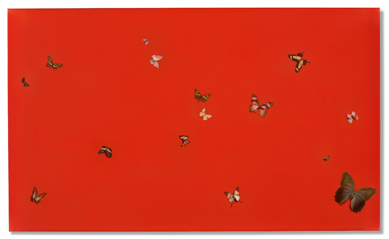 Full of Love by Damien Hirst