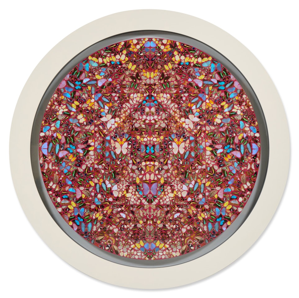 Rapture by Damien Hirst