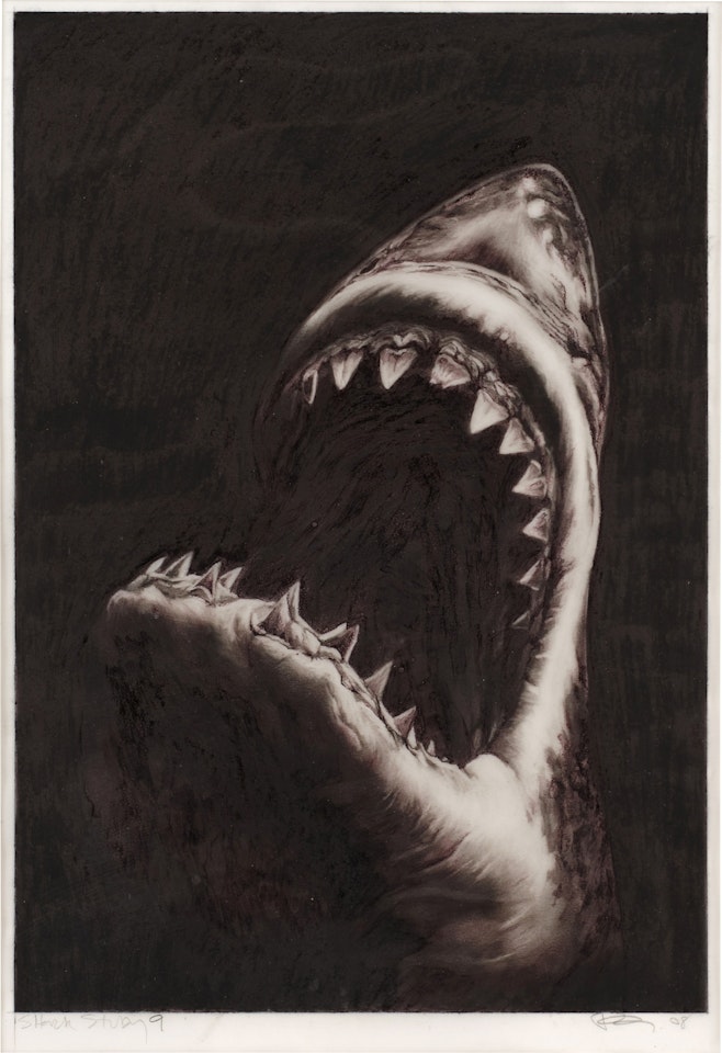 Shark Study 9 by Robert Longo