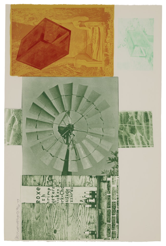 Lithograph I, from Glacial Decoy Series; Lithograph I, from Glacial Decoy Series by Robert Rauschenberg