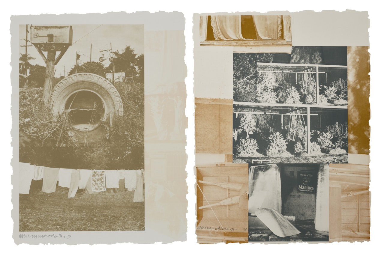 Rookery Mounds: two prints; Rookery Mounds: two prints by Robert Rauschenberg