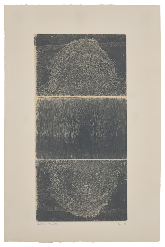 Etching II, from The Razorback Bunch by Robert Rauschenberg