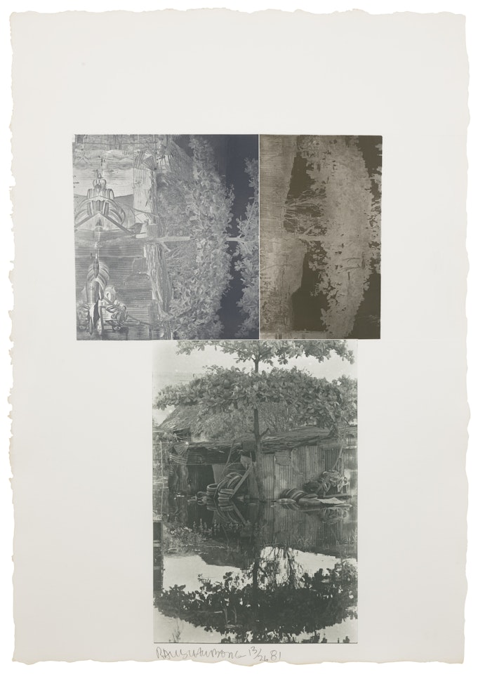 Etching III, from The Razorback Bunch by Robert Rauschenberg