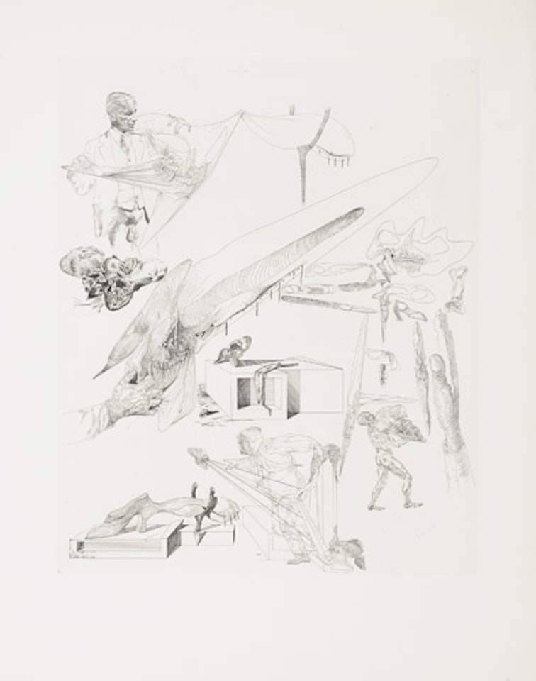 Crânes mous et harpe crânienne by Salvador Dali