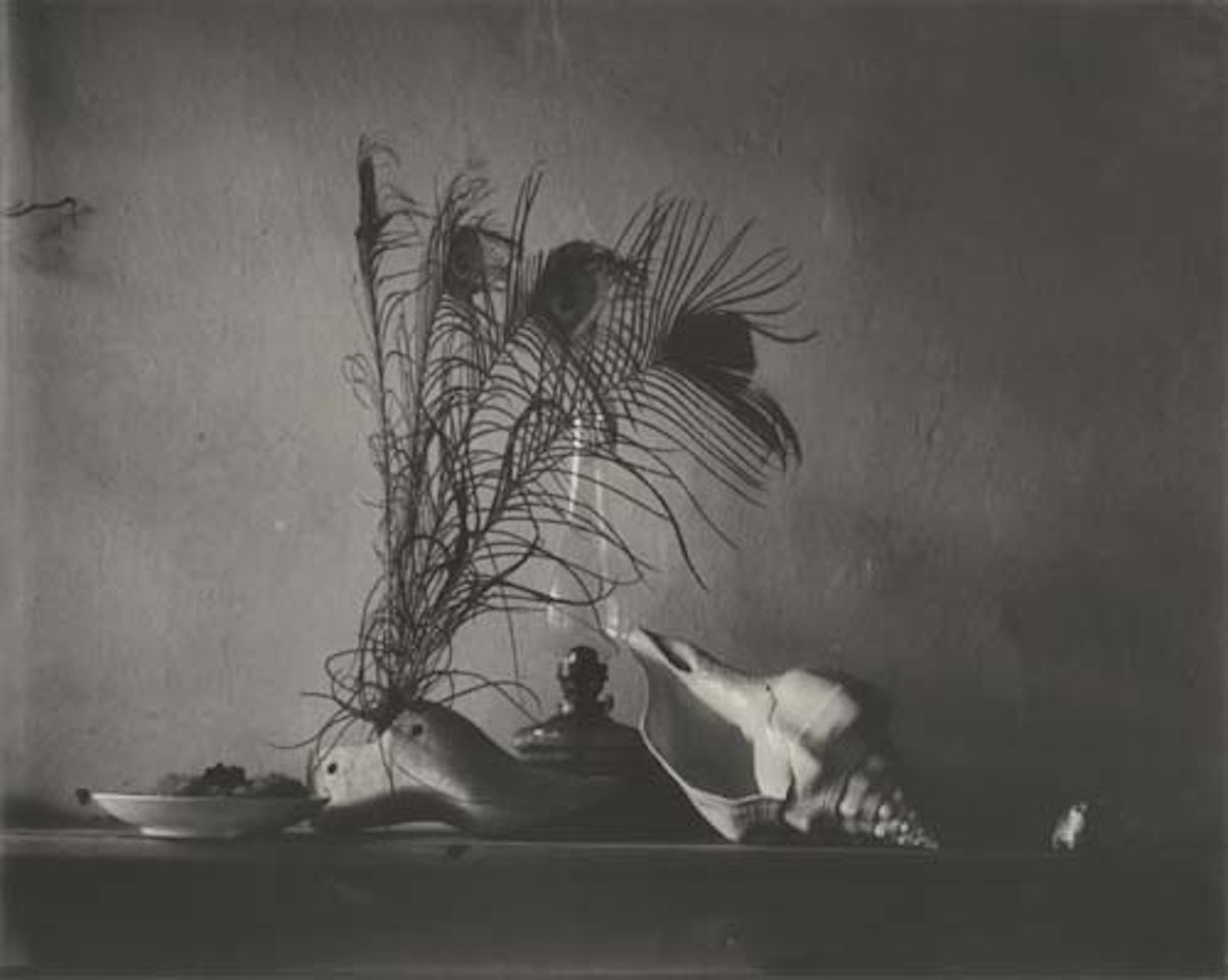 Still life with feathers and shell by Josef Sudek