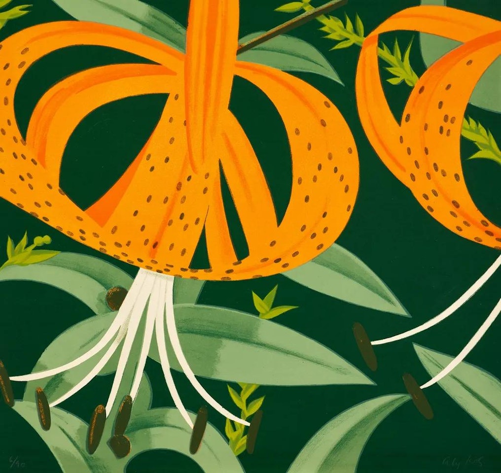 Superb Lilies; Schröder 63 by Alex Katz