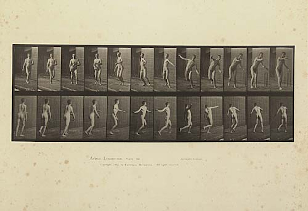 Animal Locomotion. An Electro-Photographic Investigation of Consecutive Phases of Animal Movements by Eadweard Muybridge
