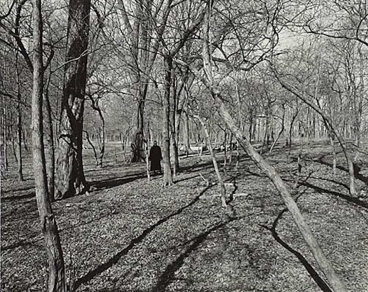 Eleanor, Chicago by Harry Callahan