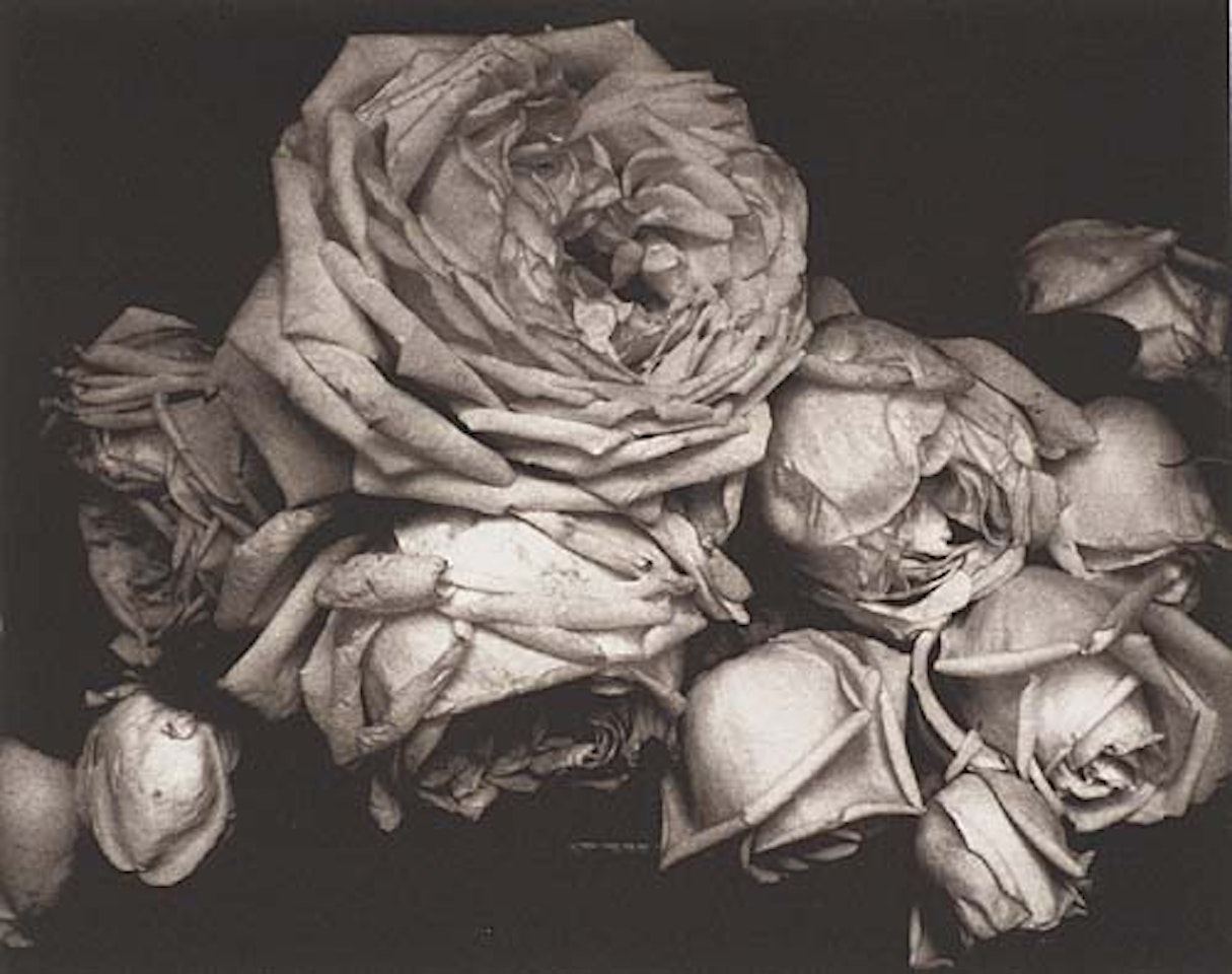 Portfolio entitled "The Early Years 1900-1927." Lavishly illustrated with 12 photogravures after Steichen's photographs by Edward Steichen