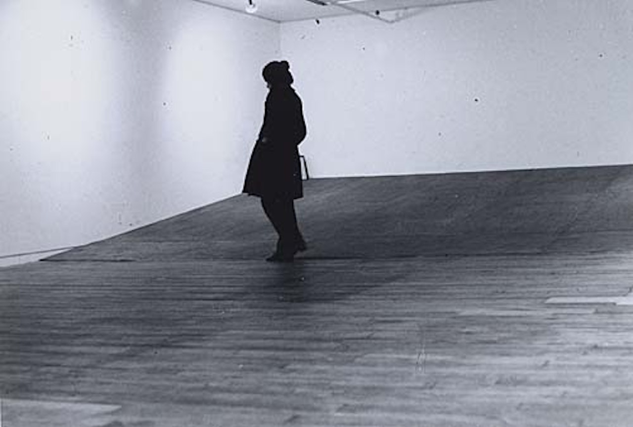 Seed bed by Vito Acconci