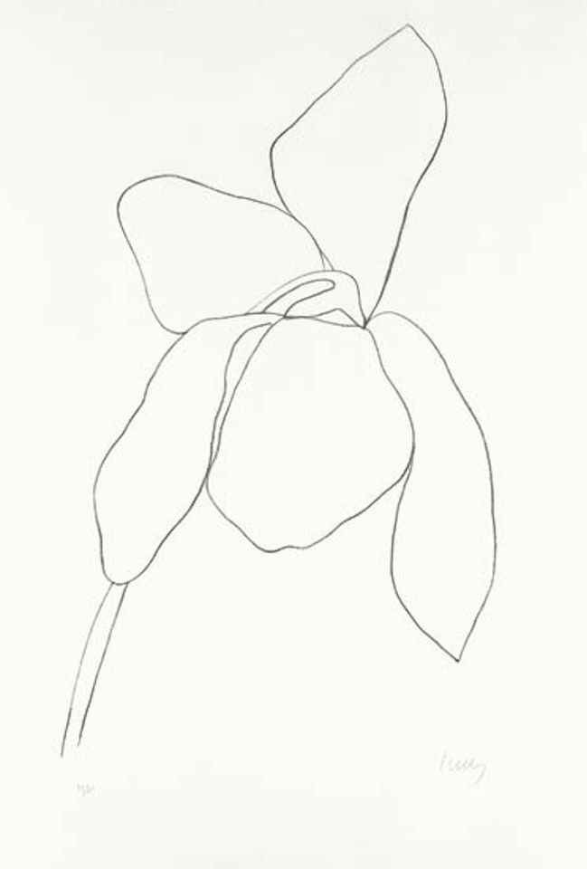 Cyclamen I by Ellsworth Kelly