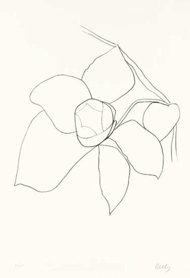 Camellia II by Ellsworth Kelly
