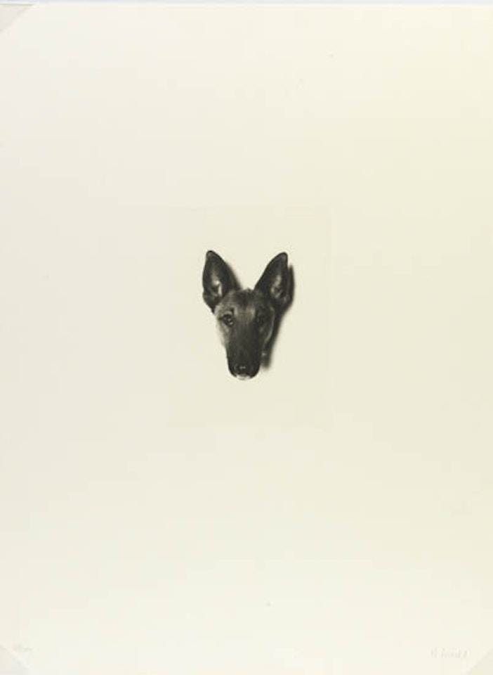 Meine Kindheit by Rosemarie Trockel