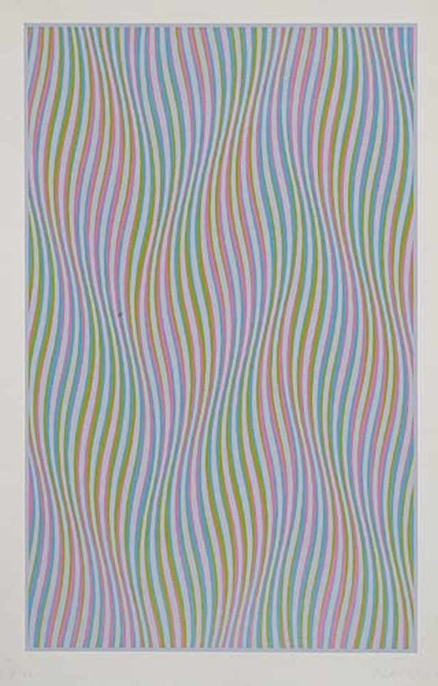 Elapse by Bridget Riley