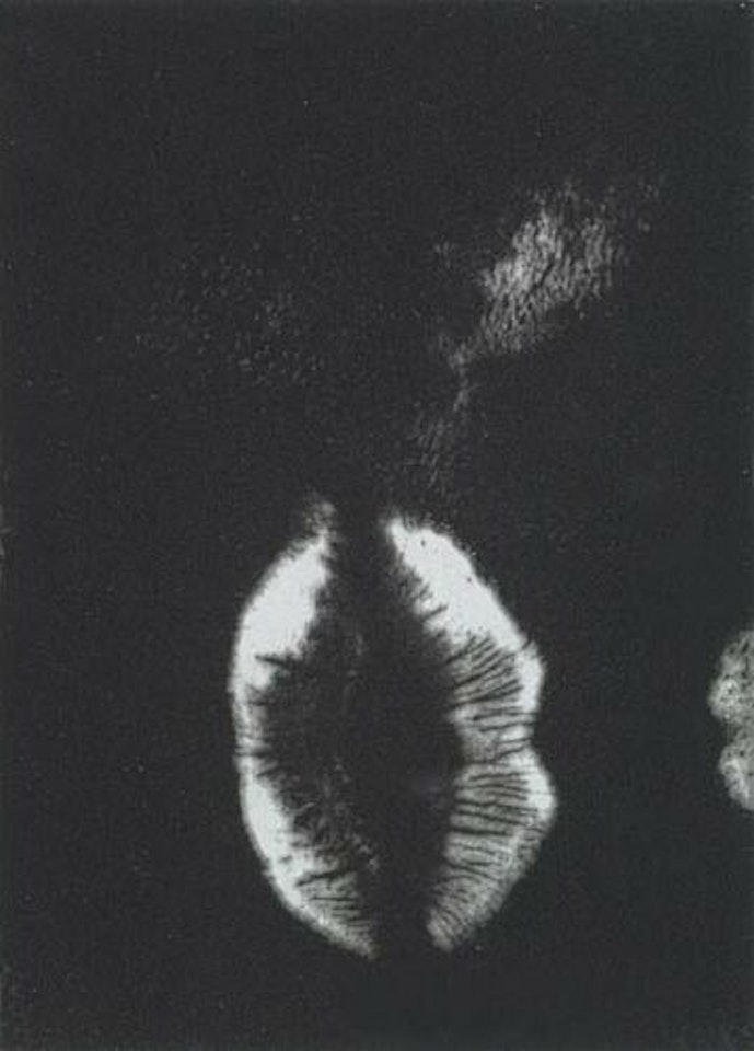 Lip Prints by Donald Sultan