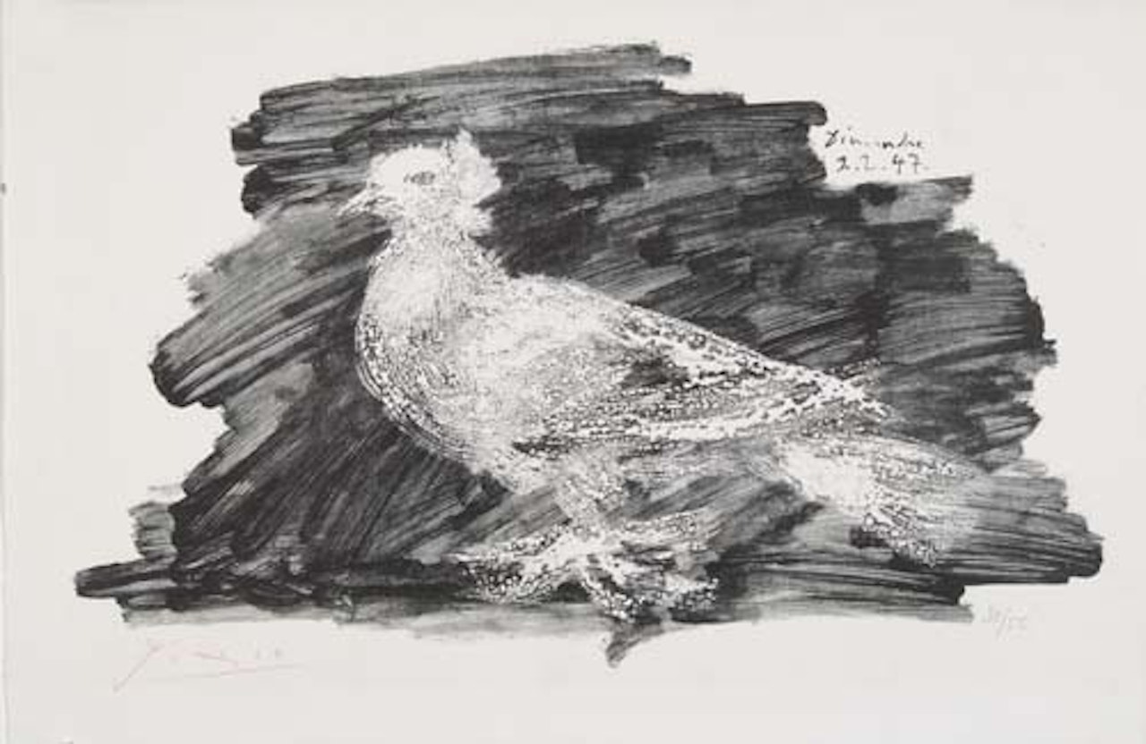 Pigeon au fond gris by Pablo Picasso