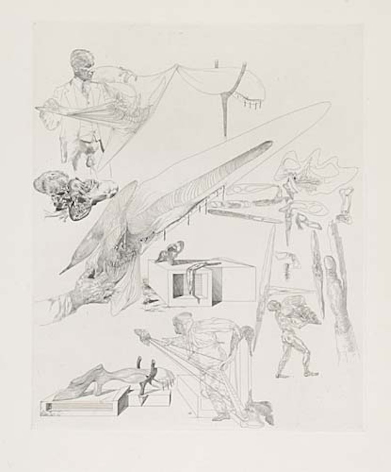 Crânes mous et harpe crânienne by Salvador Dali