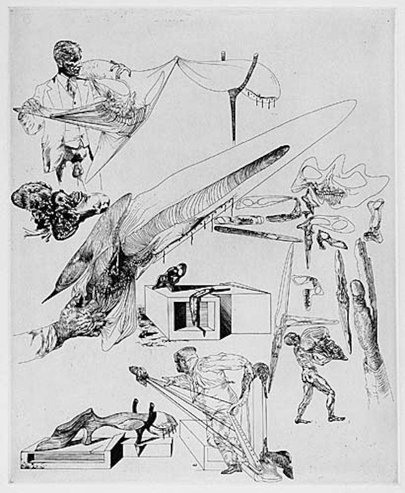 Crânes mous et harpe crânienne by Salvador Dali