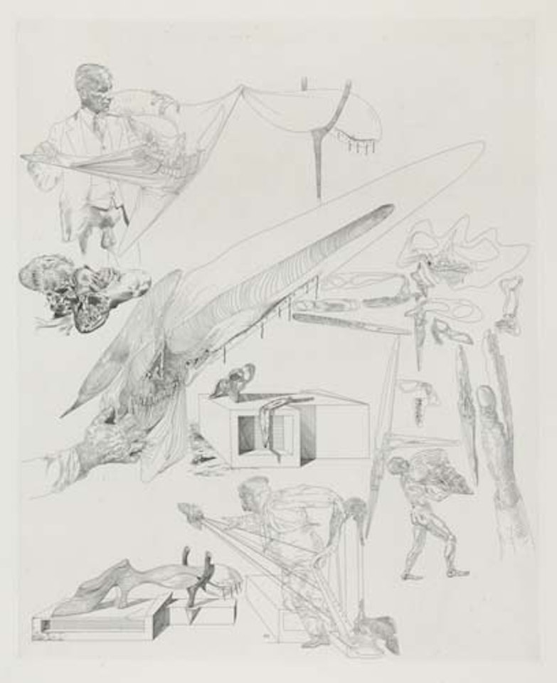 Crânes mous et harpe crânienne by Salvador Dali