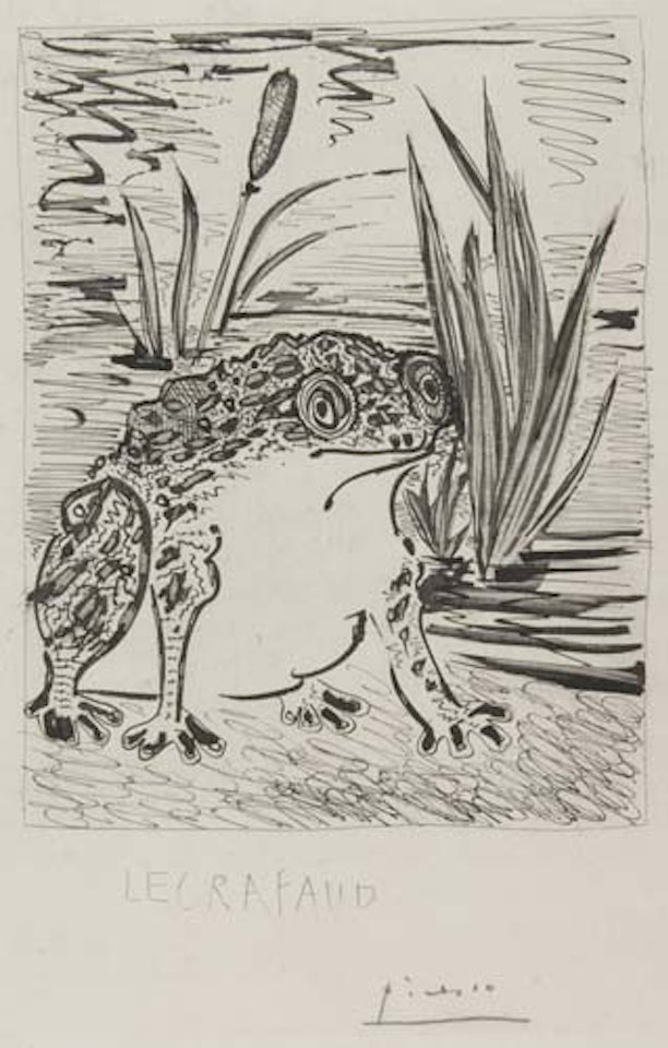 Le Crapaud by Pablo Picasso