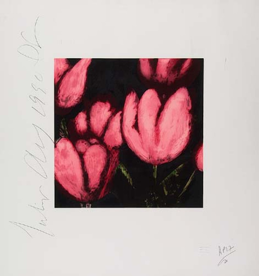 Tulips by Donald Sultan