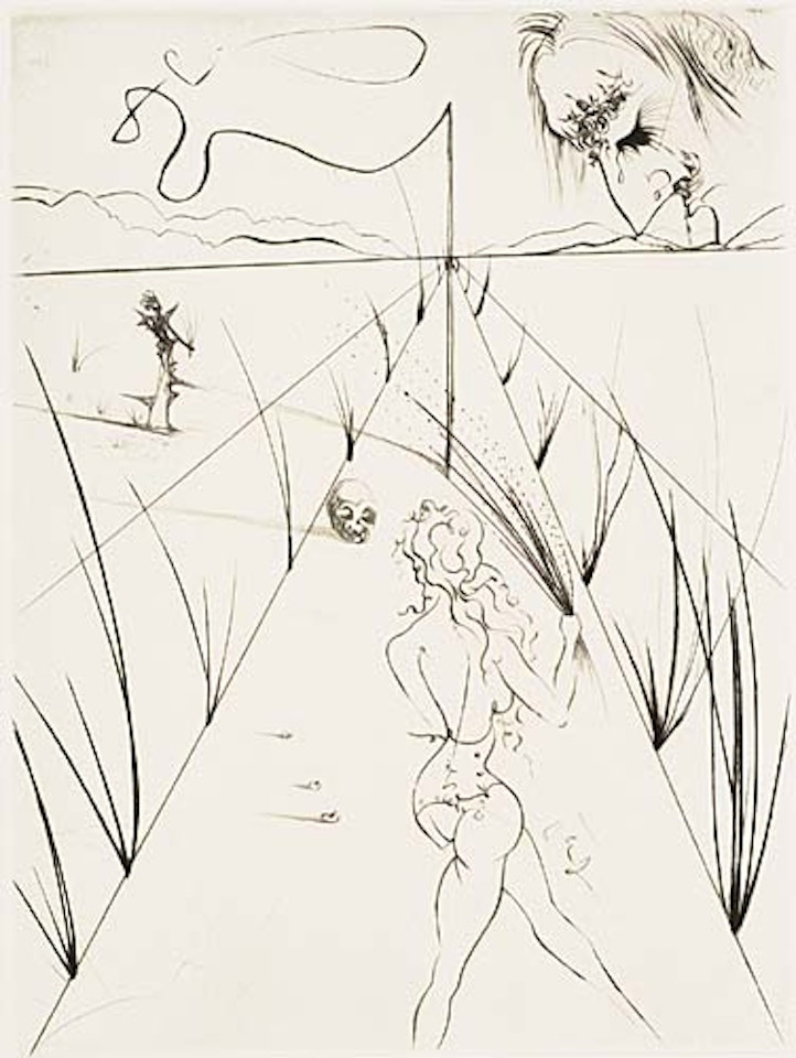 Venus aux Fourrures by Salvador Dali