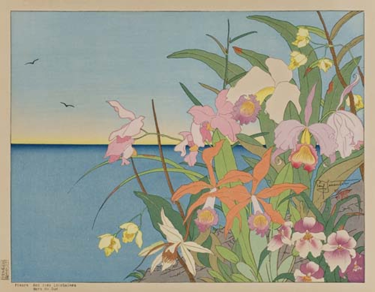 Fleurs des Iles Lointaines, Mers de Sud by Paul Jacoulet