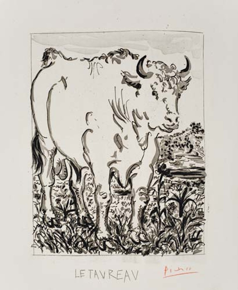 Le Taureau by Pablo Picasso