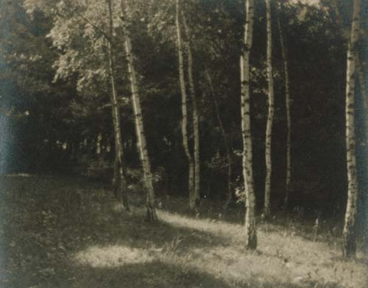 Landscape by Josef Sudek
