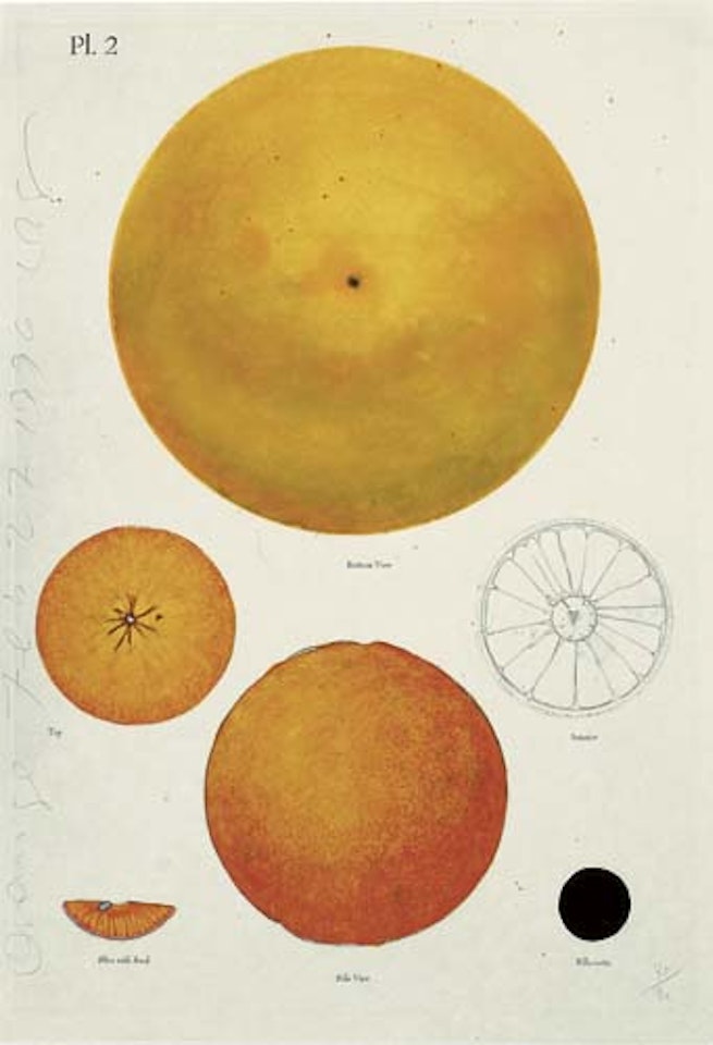Orange Feb. 27, 1996 by Donald Sultan