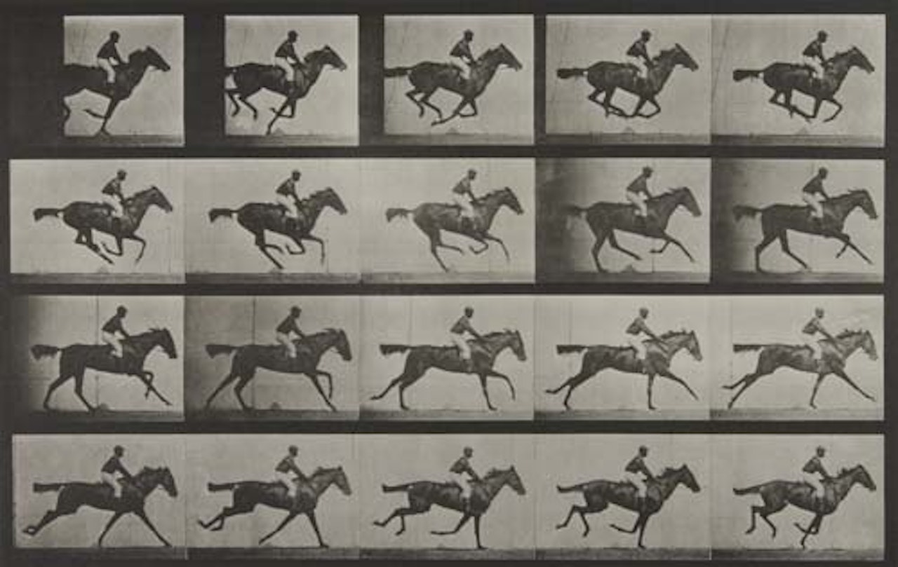 Group of 12 equestrian plates from "Animal Locomotion." by Eadweard Muybridge