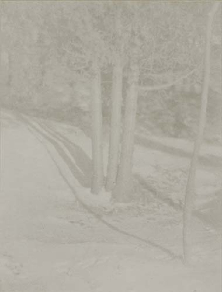 Judgement of Paris--A Landscape Arrangement" * "La Cigale by Edward Steichen