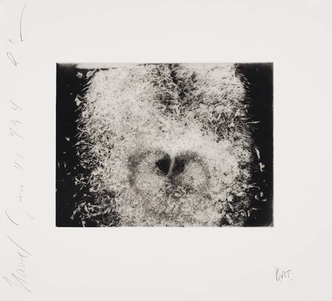 Navel * Buttocks by Donald Sultan