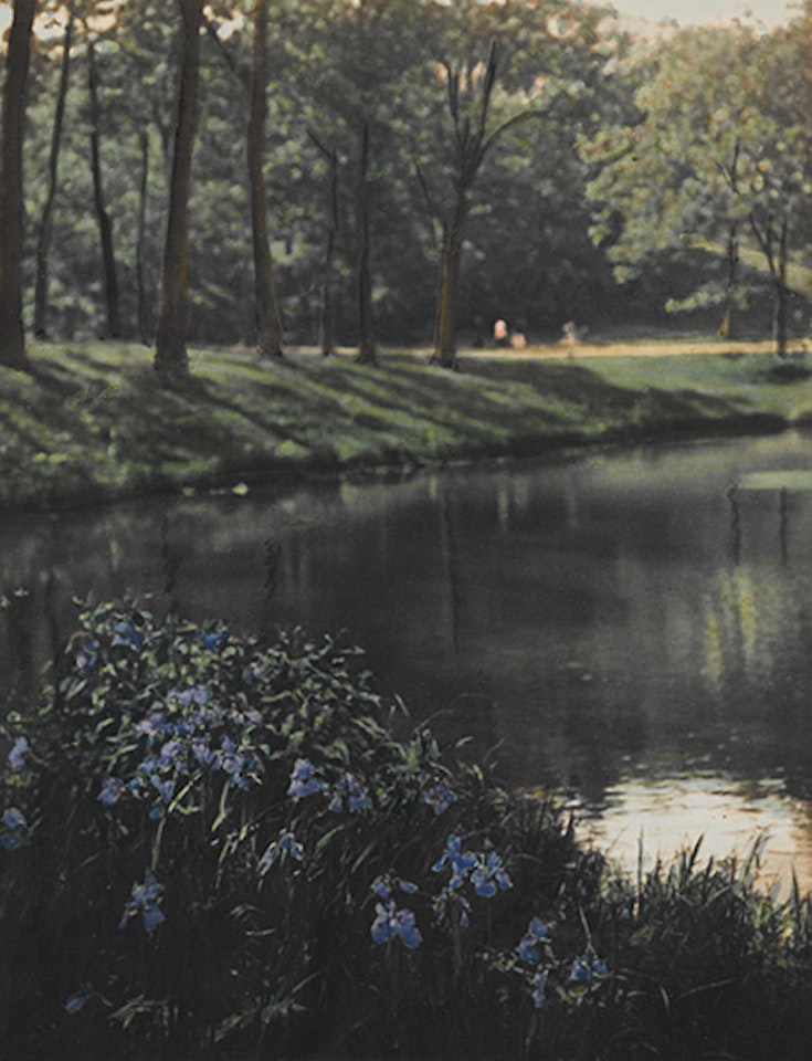 Iris, Wellesley by Paul Strand