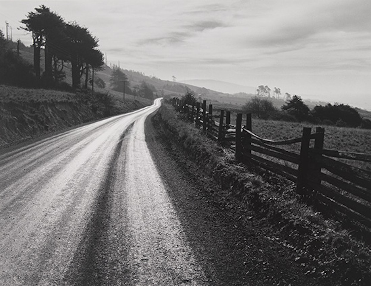 Road After Rain by Ansel Adams