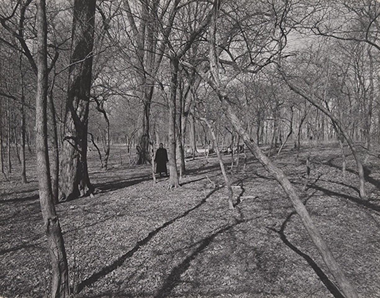 Eleanor, Chicago by Harry Callahan